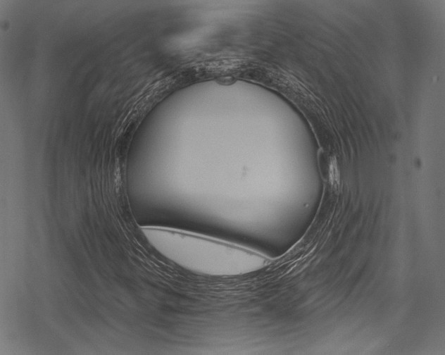 X0000078261299200611030909