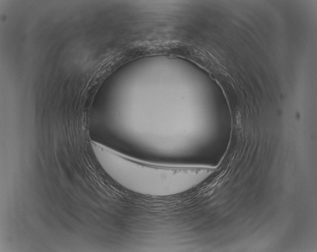 X0000078261300200611030909