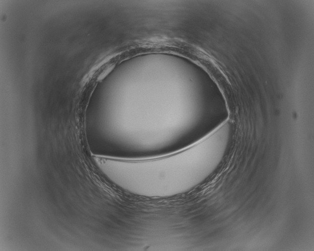 X0000078261304200611030909