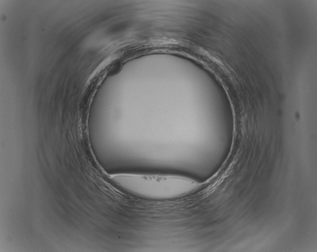 X0000078261306200611030909