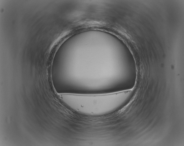 X0000078261309200611030909