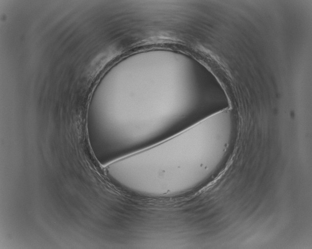 X0000078261313200611030910