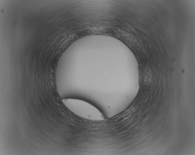 X0000078261346200611030909