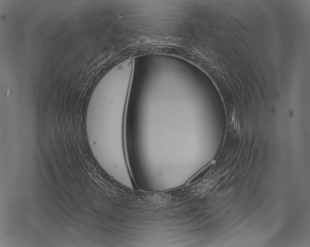 X0000078261348200611030909
