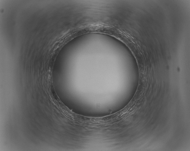 X0000078261349200611030909