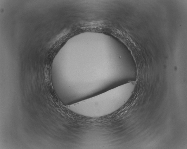 X0000078261350200611030909