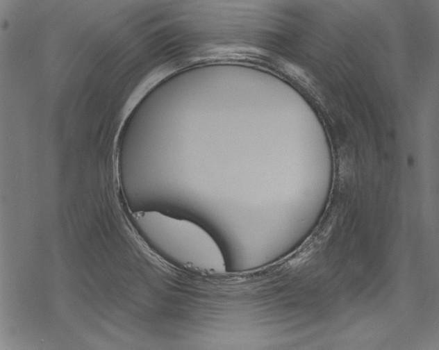 X0000078261370200611030909