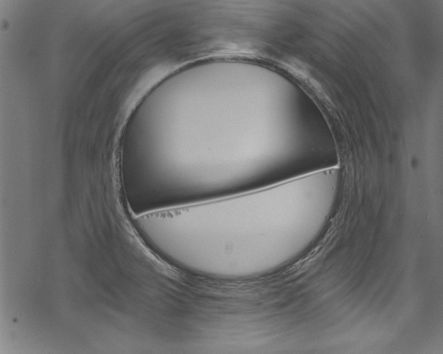 X0000078261375200611030909