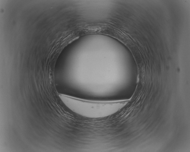 X0000078261394200611030908