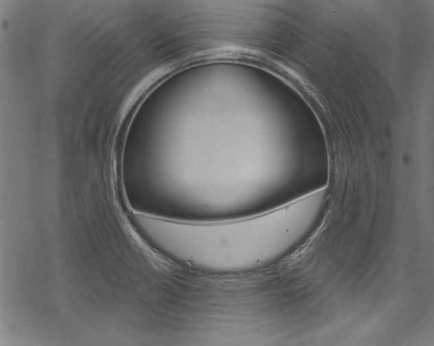 X0000078261418200611030908