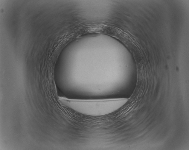 X0000078261441200611030908