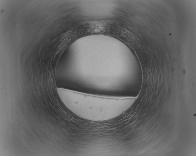 X0000078261442200611030908