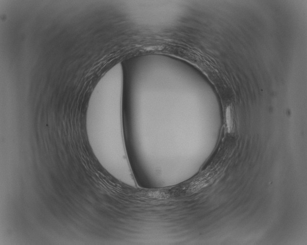 X0000078261443200611030908