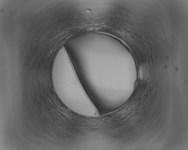 X0000078261444200611030908