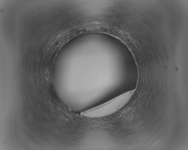 X0000078261445200611030908