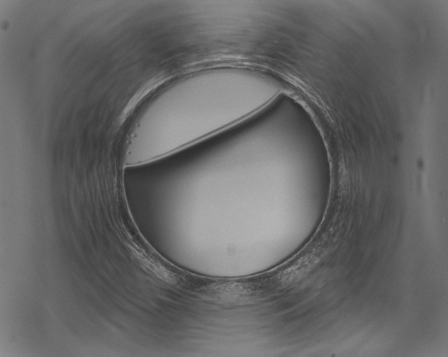 X0000078261450200611030908