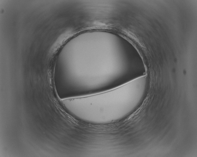 X0000078261455200611030907
