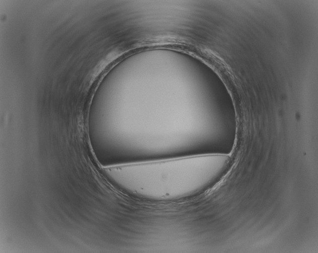 X0000078261457200611030907