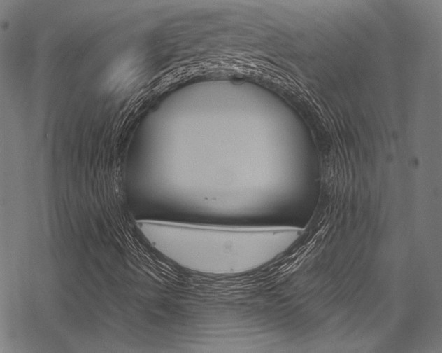 X0000078261490200611030906