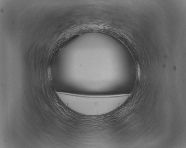 X0000078261492200611030906