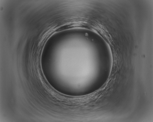 X0000078260001200611031214