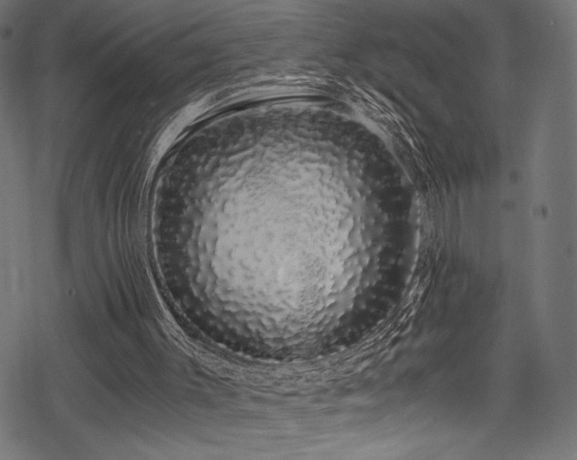 X0000078260003200611031214
