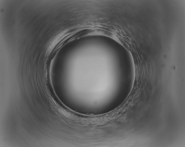 X0000078260005200611031214