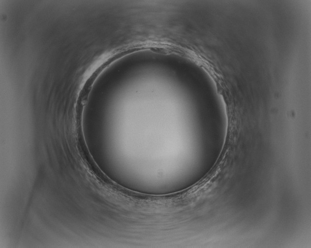 X0000078260008200611031214