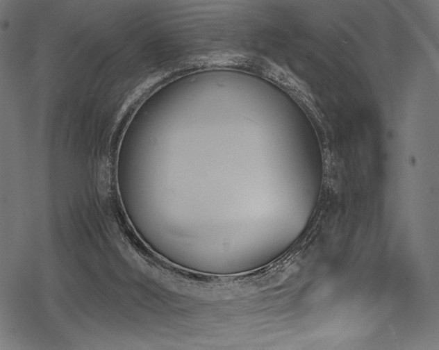 X0000078260012200611031214