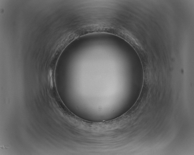 X0000078260022200611031214