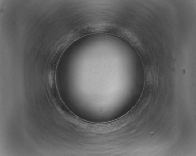 X0000078260026200611031214