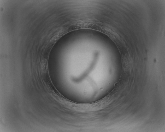 X0000078260034200611031213
