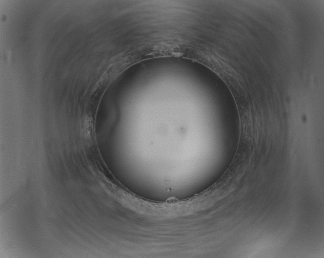 X0000078260038200611031213