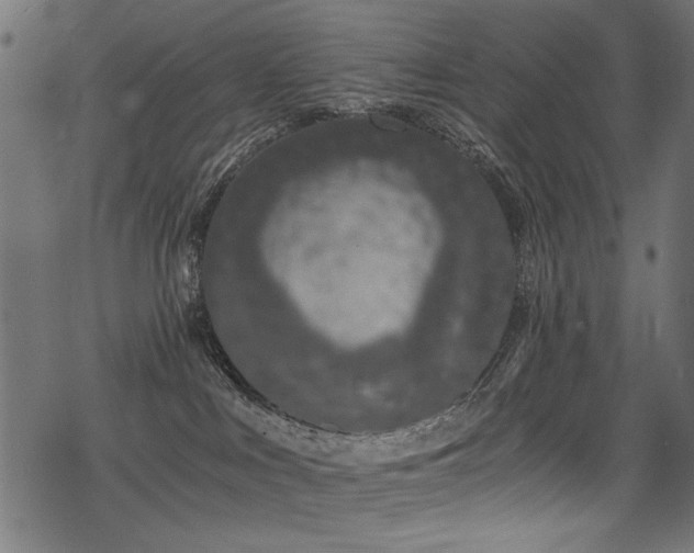 X0000078260043200611031213