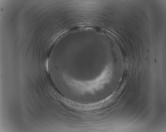 X0000078260047200611031213