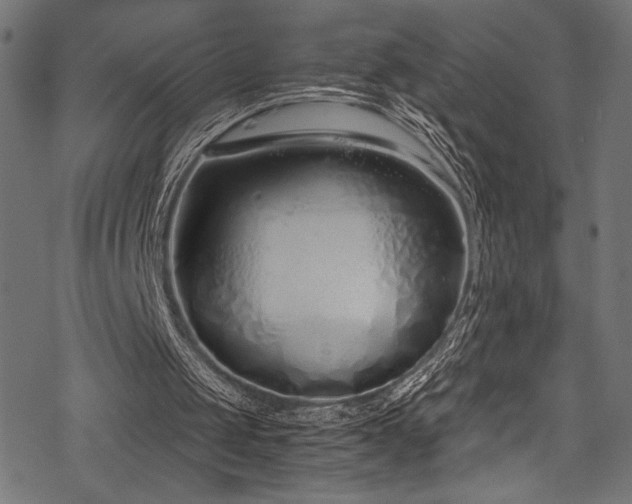 X0000078260049200611031212
