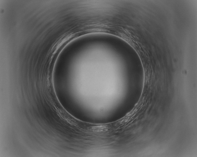 X0000078260050200611031212