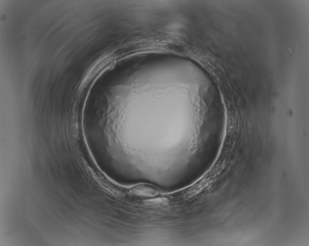 X0000078260053200611031213