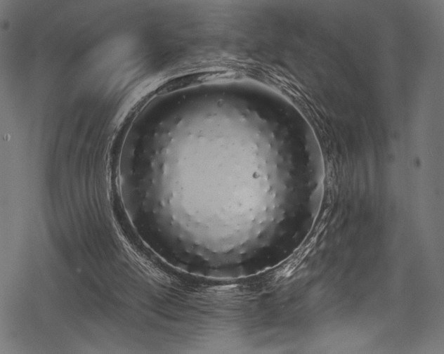X0000078260054200611031213
