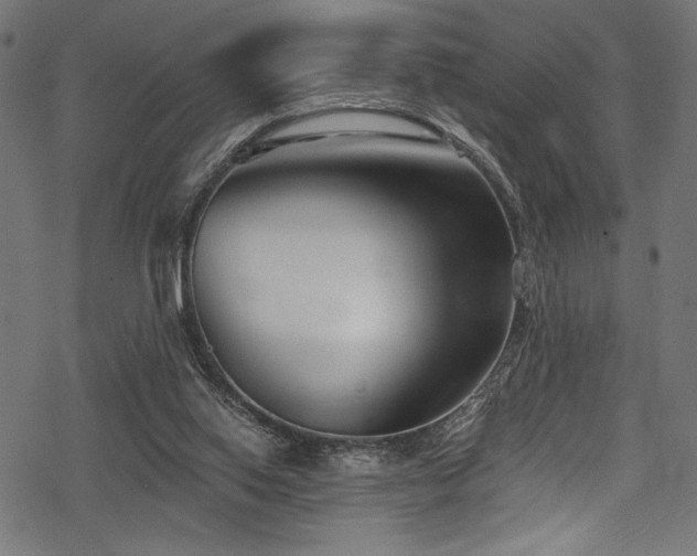 X0000078260062200611031213
