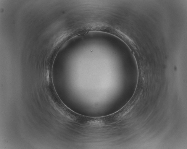 X0000078260067200611031213