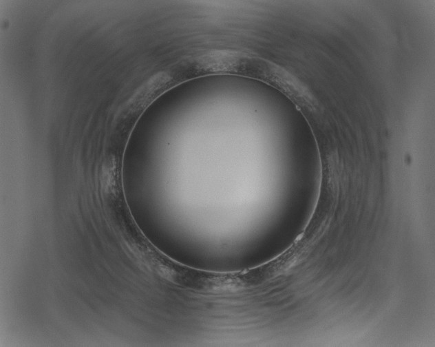 X0000078260073200611031213