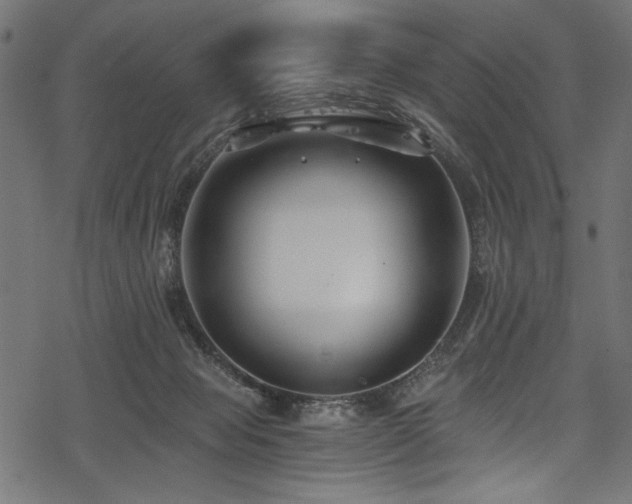 X0000078260077200611031213