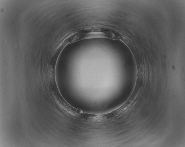 X0000078260092200611031213