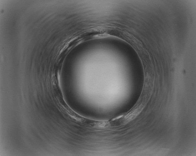 X0000078260096200611031213