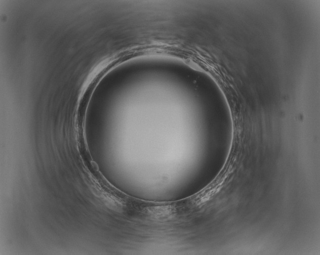X0000078260102200611031212