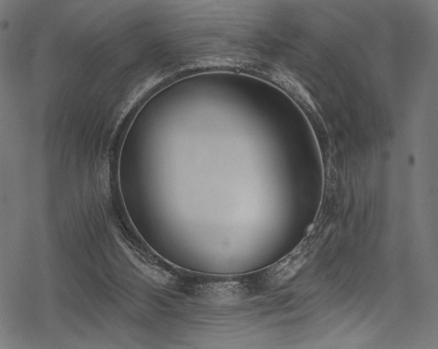 X0000078260108200611031212