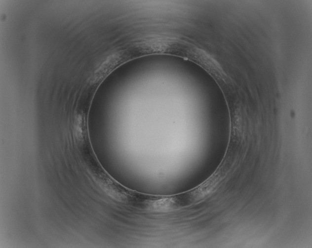 X0000078260122200611031212
