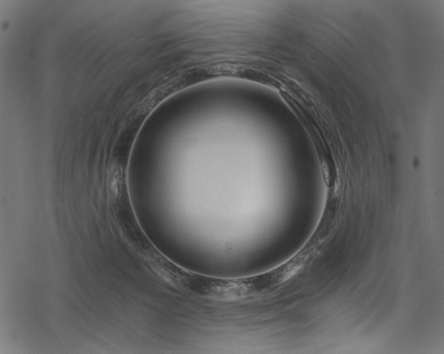 X0000078260125200611031212