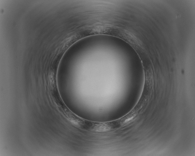 X0000078260127200611031212